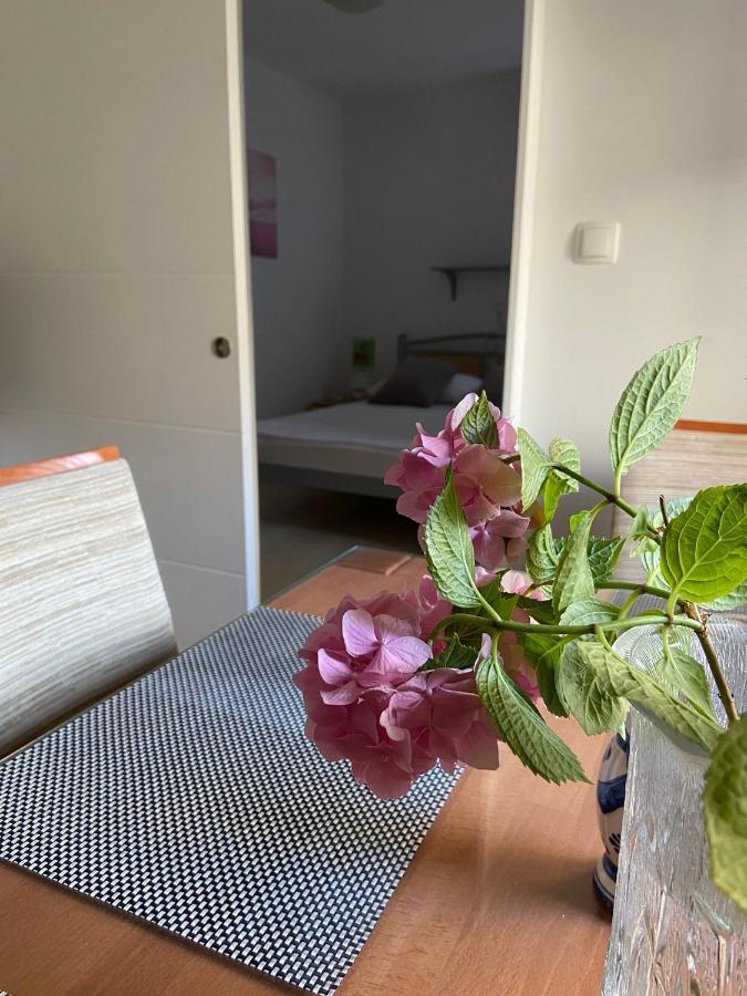 Duje & Roko Apartments Šibenik Kültér fotó